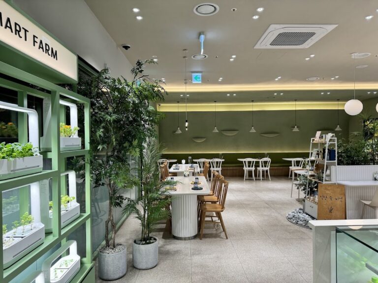 Plantude I’Park Mall Yongsan: Vegan Fusion Dining Near Yongsan Station